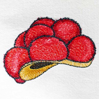 Stickdatei Schwarzwald Bollenhut