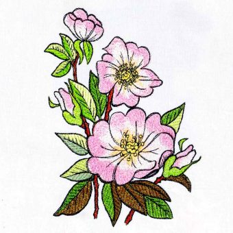 Stickdatei Wildrose - heimische Botanik