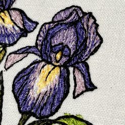 5776 Iris-klein-Bluete