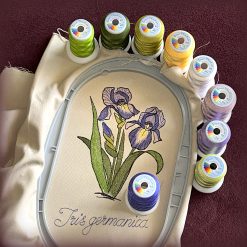 5776 Iris mit Garnen